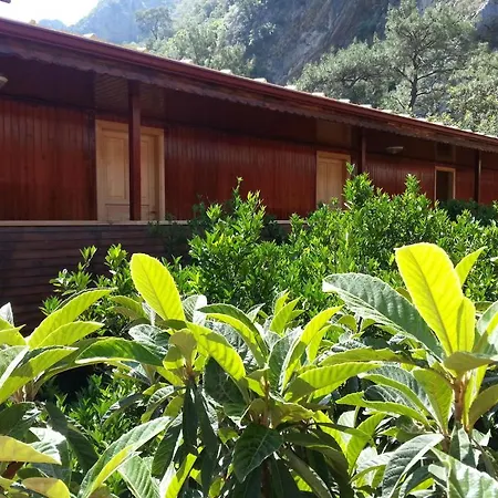 Divasa Otel