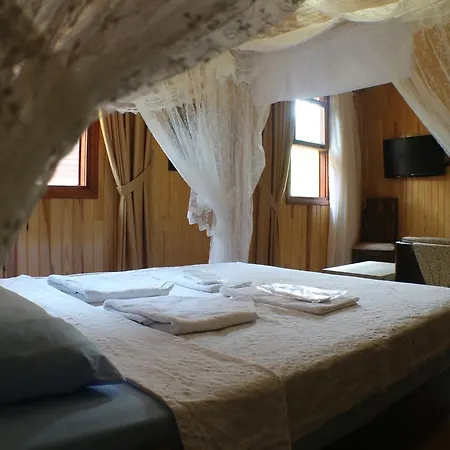 Hotel Divasa Olympos