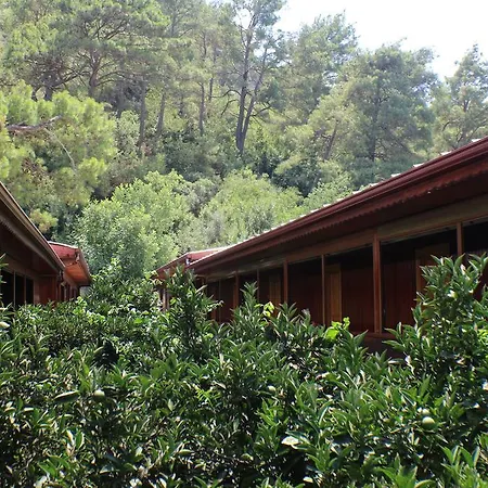 Hotel Divasa Olympos