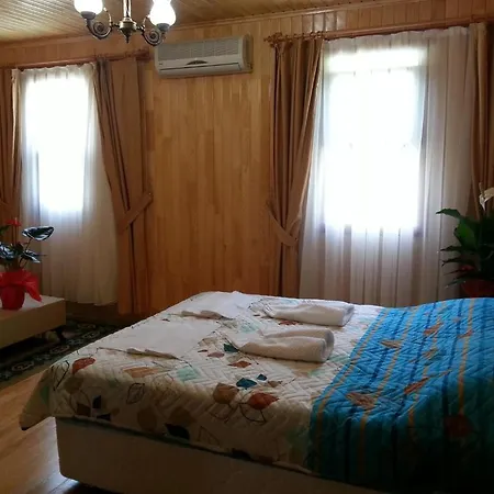 Divasa Hotel Olympos