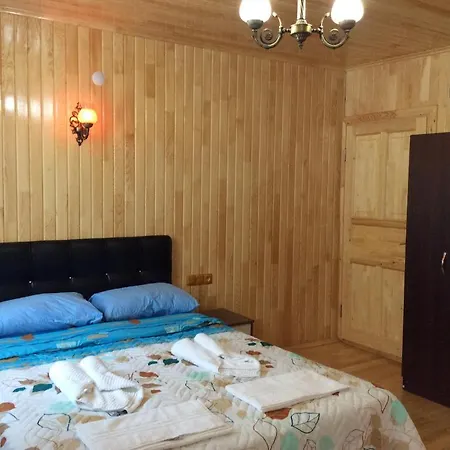 Divasa Hotel Olympos