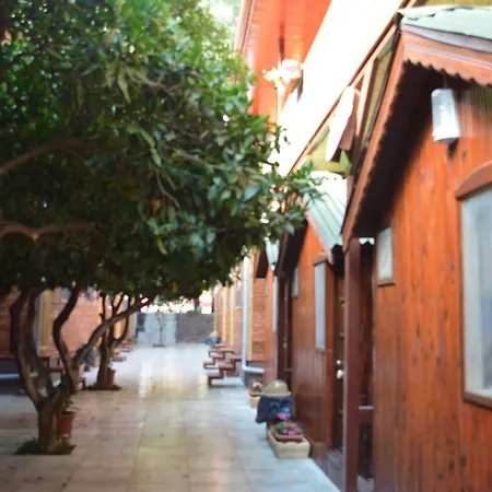 Divasa Hotel Olympos