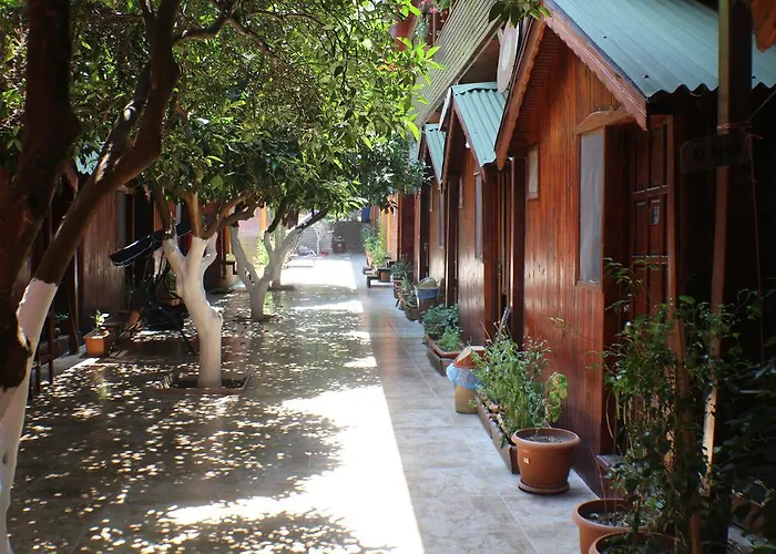 Divasa أوليمبوس