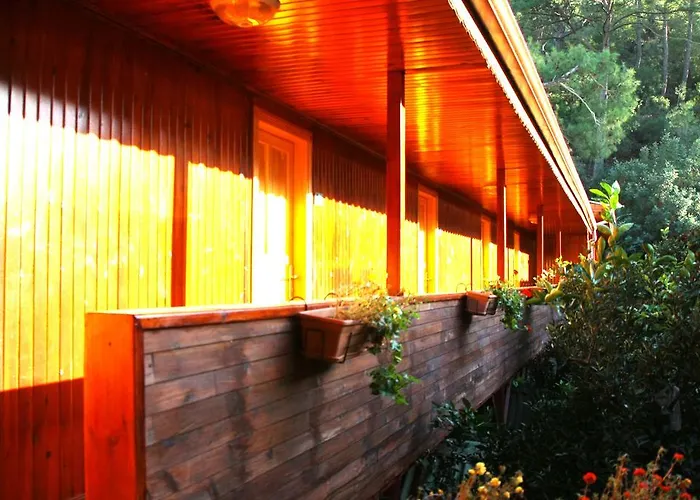 Divasa أوليمبوس