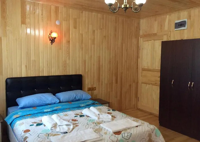 Divasa Отель Олимпос