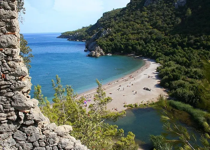 Divasa أوليمبوس