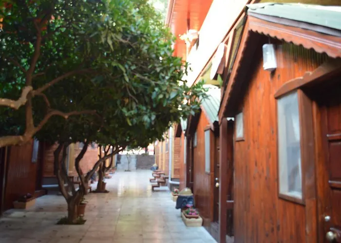 Divasa فندق أوليمبوس